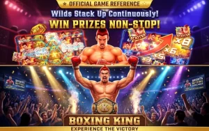 Boxing King db333
