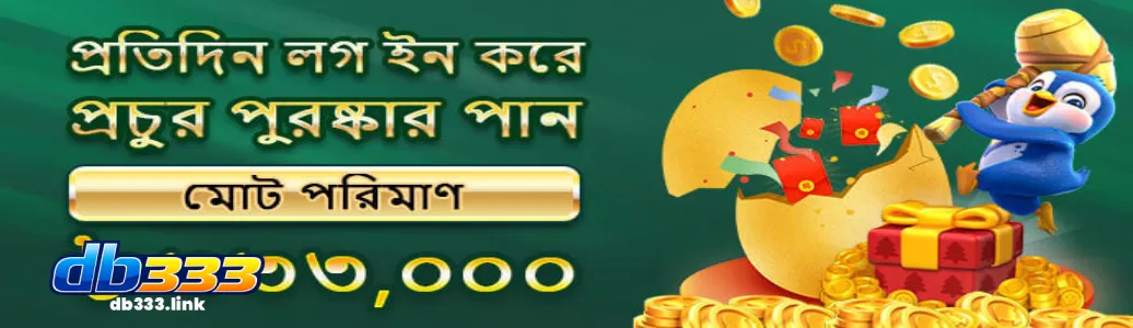 DB333 Promotions
