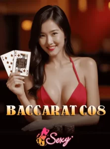 DB333 about us - baccarat